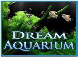 dream aquarium crack